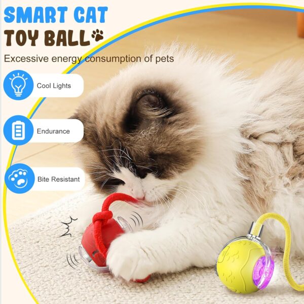 Smart Interactive Cat Toy Ball – Automatic Rolling Mouse with Tail, Rechargeable Pet Play Toy for Indoor Cats - Image 5